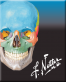 Icon: Netter's Anatomy Flash Cards (ModalityBody)